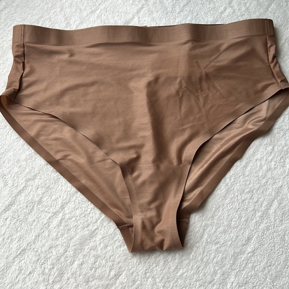 Spanxshape Sheer Control Bikini - image 4